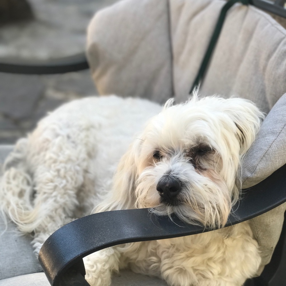 Meet your Posher, De Ann